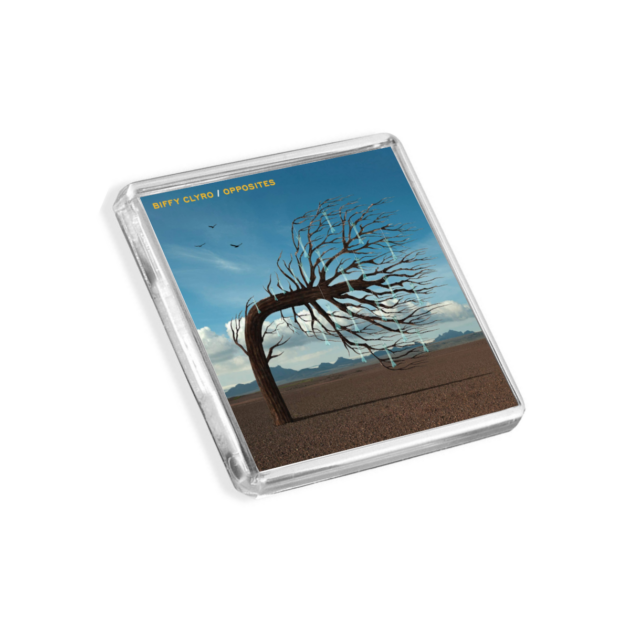 Image of Biffy Clyro - Opposites album cover-inspired fridge magnet on a white background