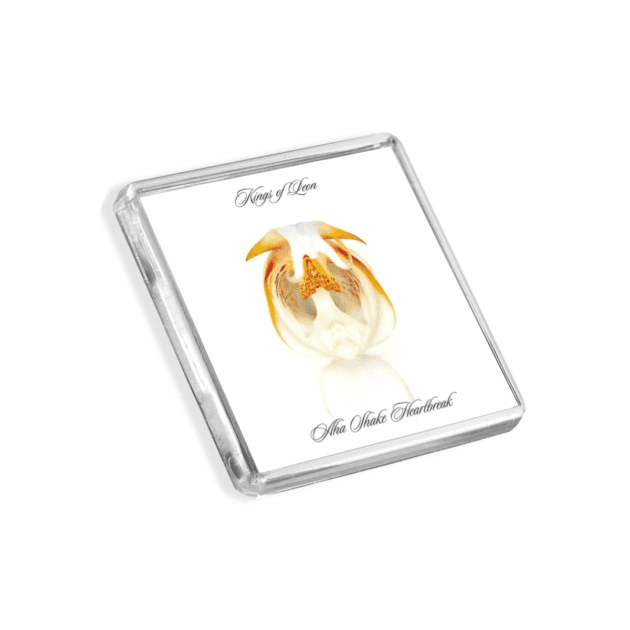Image of Kings of Leon - Aha Shake Heartbreak album cover-inspired fridge magnet on a white background