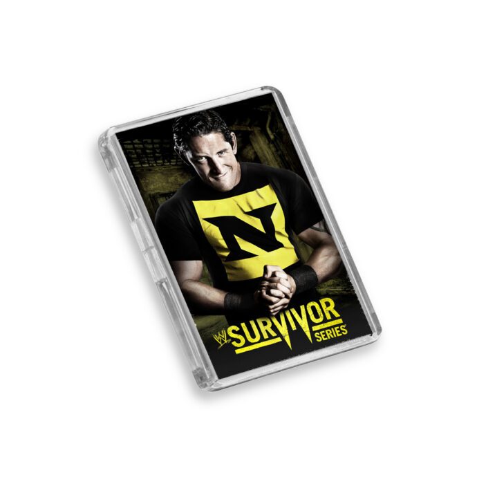 Plastic WWE Survivor Series 2010 fridge magnet on white background