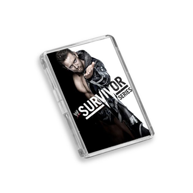 Plastic WWE Survivor Series 2012 fridge magnet on white background
