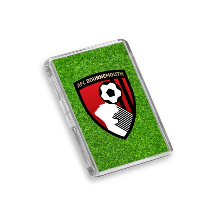 Plastic Bournemouth fridge magnet on a white background