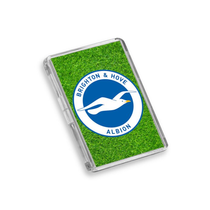 Plastic Brighton fridge magnet on a white background