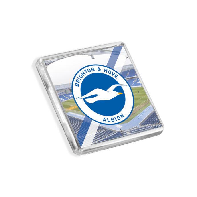 Plastic Brighton fridge magnet on a white background